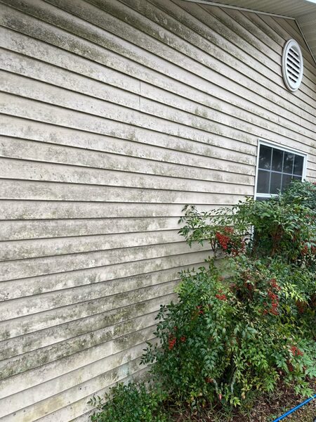 Exterior Cleaning Ocala