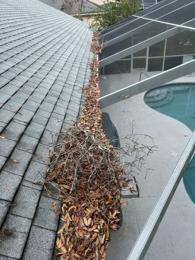 Gutter Cleaning Ocala, FL