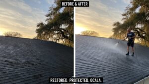 Roof Cleaning Warranty Guide: Protecting Your Ocala Home Investment